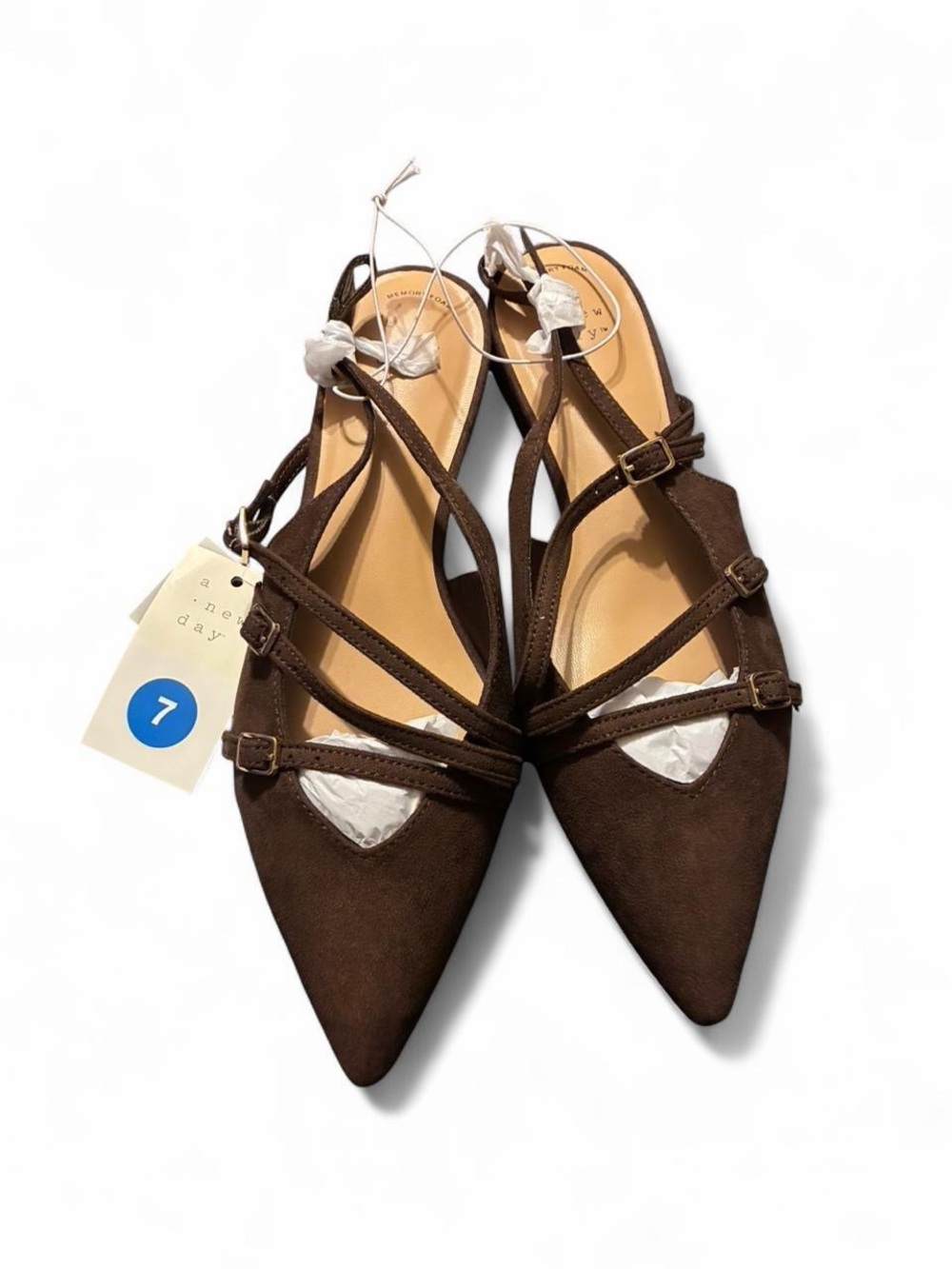 Pointed Toe Flats in Brown A New Day